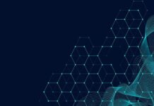 The Limits of eCommerce AI Optimization Services